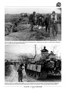 Panzer Sicherungs-Kompanien and Panzer-Abteilung 208 - I. / Panzer-Regiment Feldherrnhalle